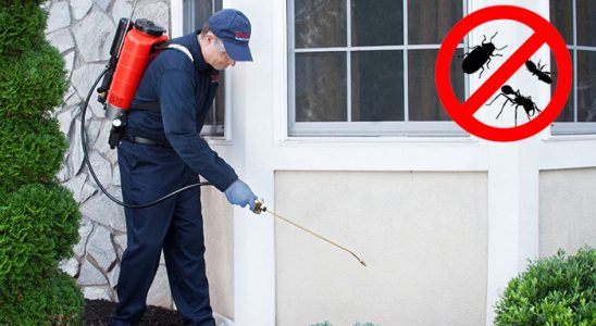 Çerkezköy Böcek İlaçlama böcek ilaçlama ve haşere kontrolü — ilaclama-tr.com